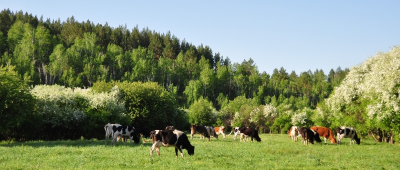 DSC_6680_conew2.jpg