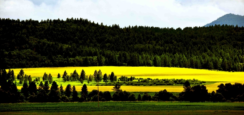 33_514063_08841025489c9fc.jpg