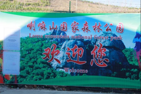春、夏季旅游全面启动,林业集团带您登山观杜鹃docx1433.jpg 春、夏季旅游全面启动,林业集团带您登山观杜鹃docx1433.jpg