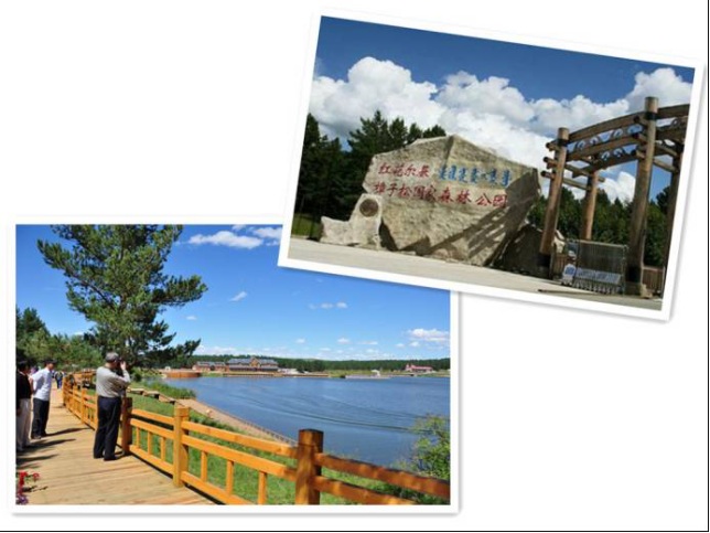 春、夏季旅游全面启动,林业集团带您登山观杜鹃docx2958.jpg 春、夏季旅游全面启动,林业集团带您登山观杜鹃docx2958.jpg